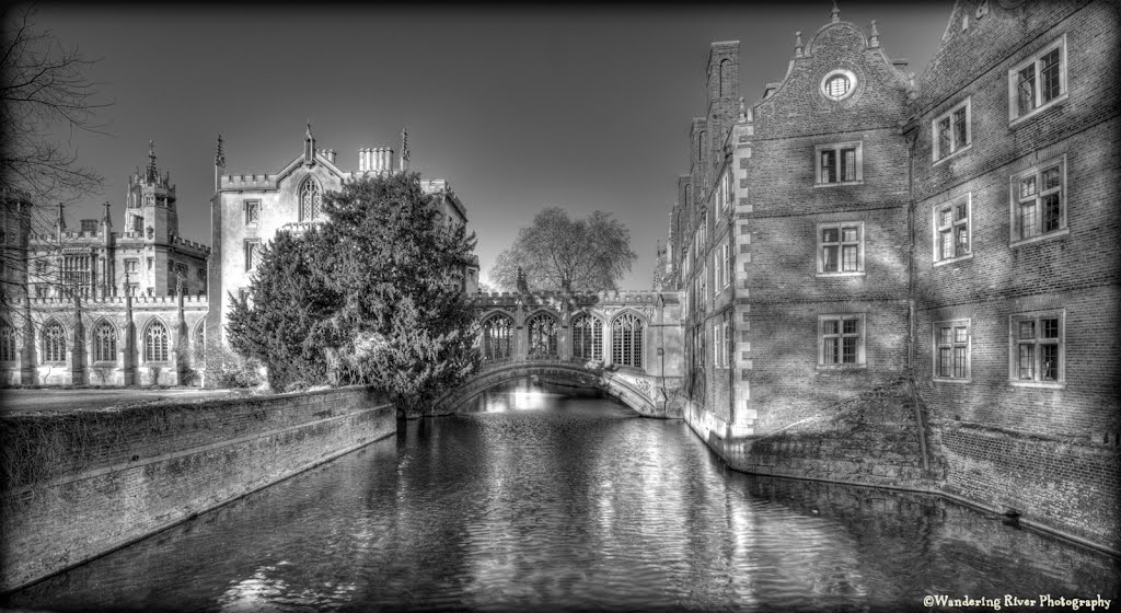 The Bridge of Sighs by Steve Stoddart