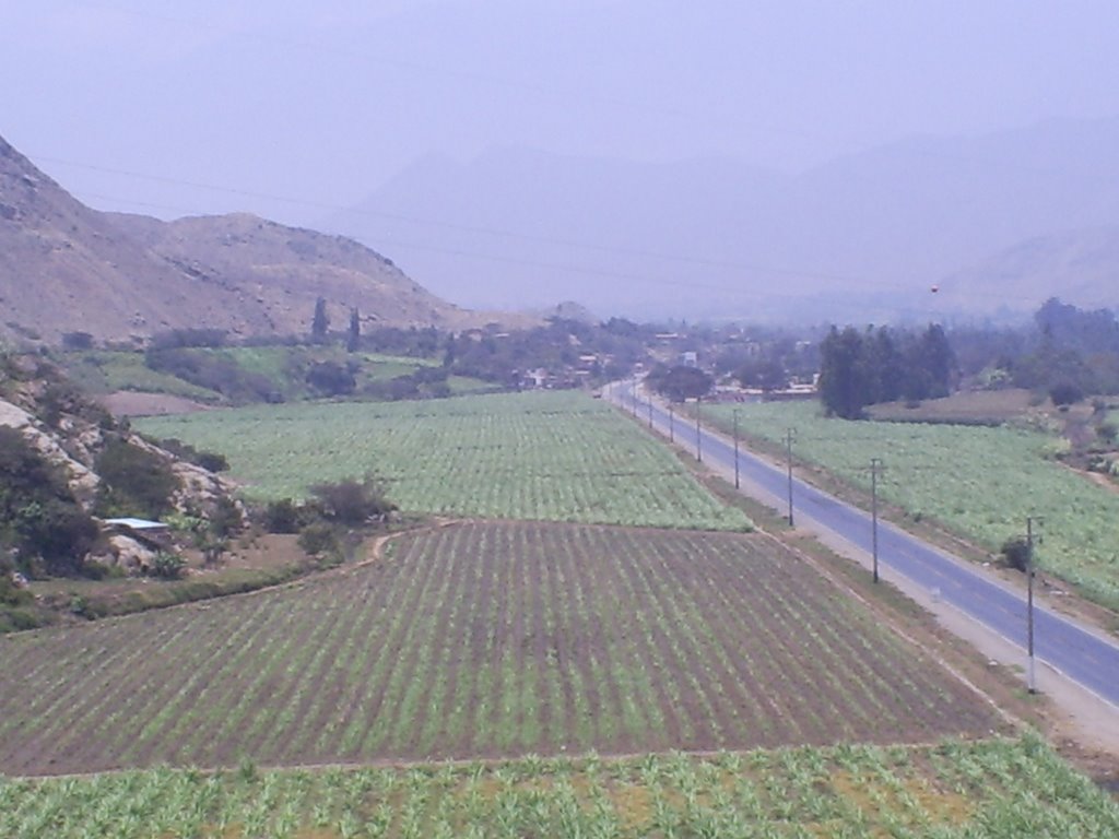 Vista desde El Mirador by DaviDaniel