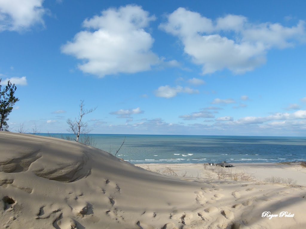 Warren Dunes State Park by Roger Pedat