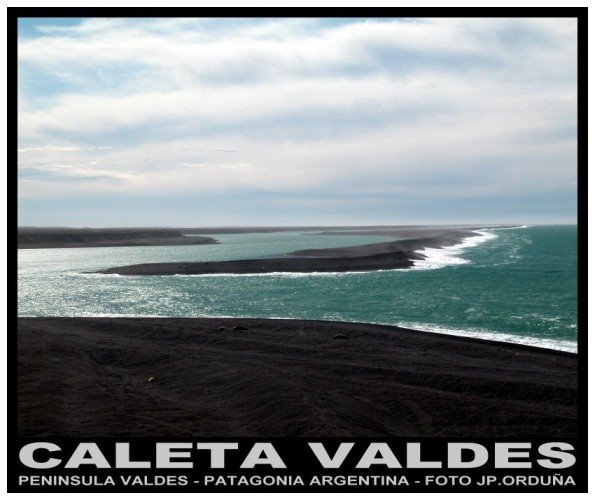 Caleta Valdés, Peninsula Valdés, Argentina. by jporduna