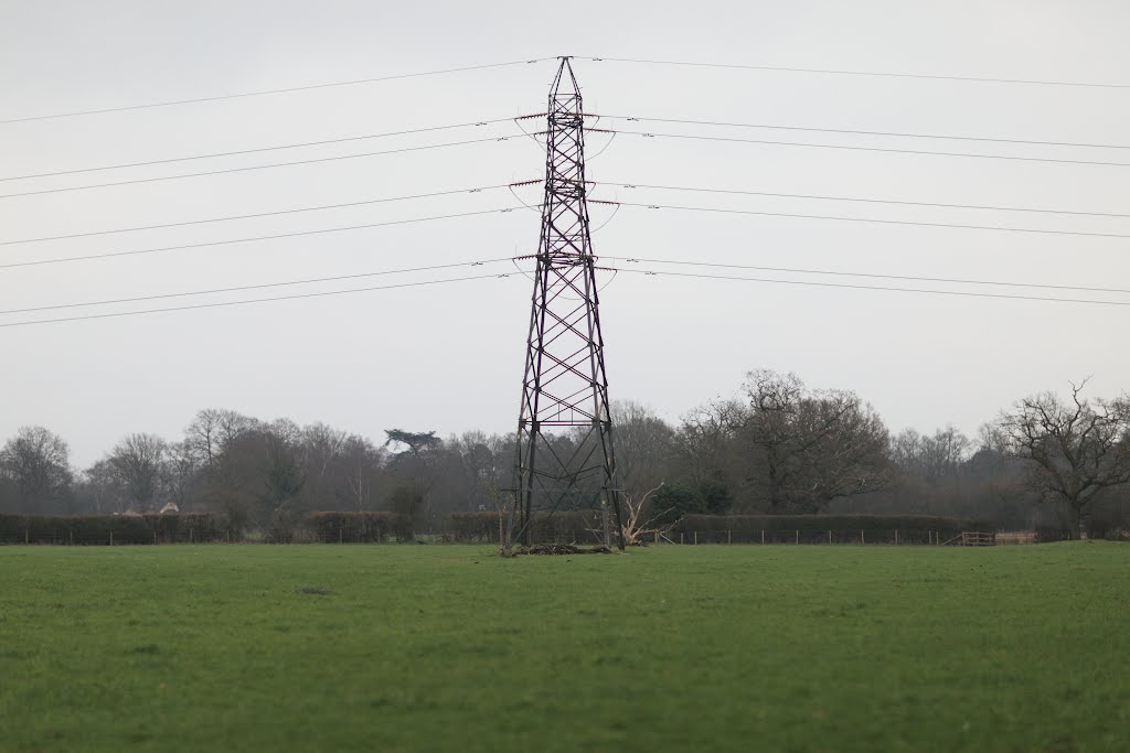 Barkham Pylon from Footpath by QuentinUK