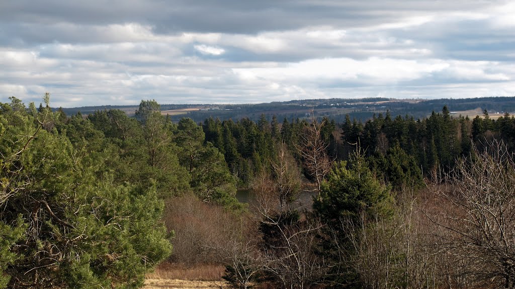 Amherst Point, NS, Migratory Bird Sanctuary by kh21