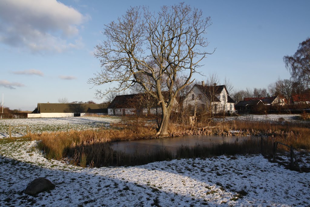 Pond in Dageløkke by Benjamin Buemann