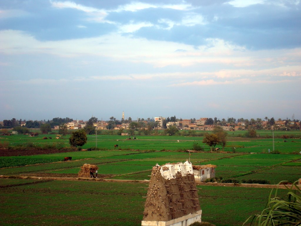 Kafr Sayed Mahmoud, view to the east, Sharkia by Alaeddin Faruki