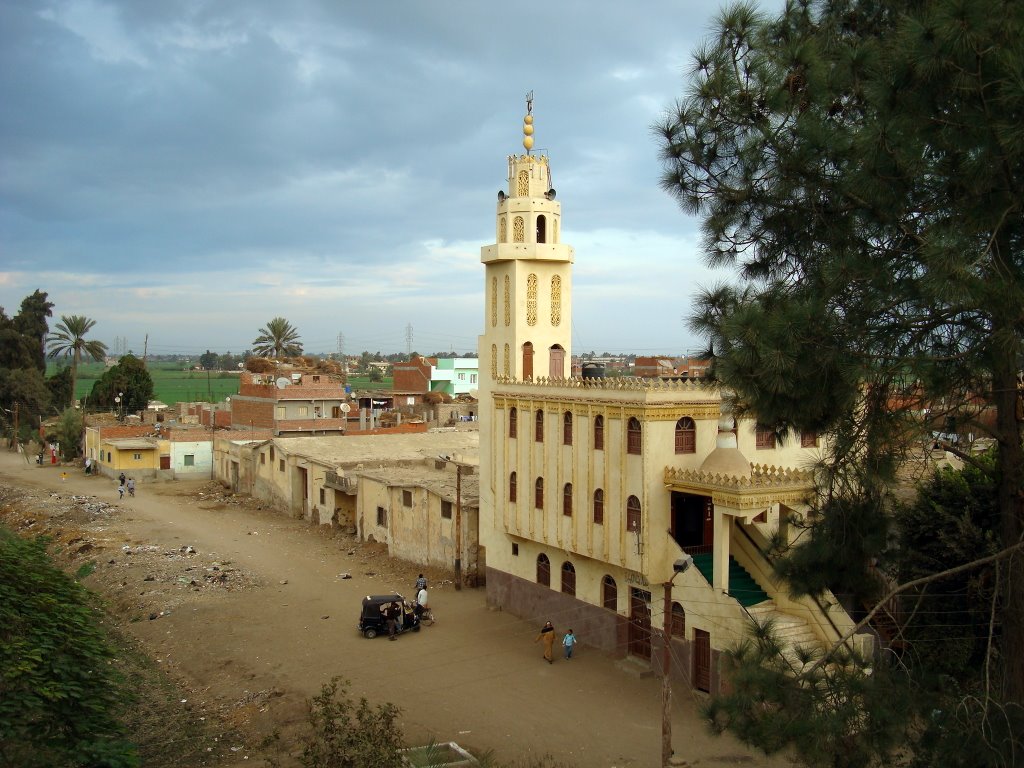 Big Aref Village, view to the east and the main mosque, Sharkia by Alaeddin Faruki