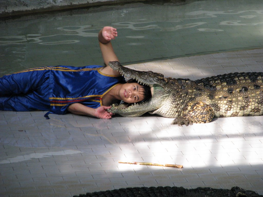 Thailand,Pattaya area's ,Tiger zoo,krocodile show by michael68