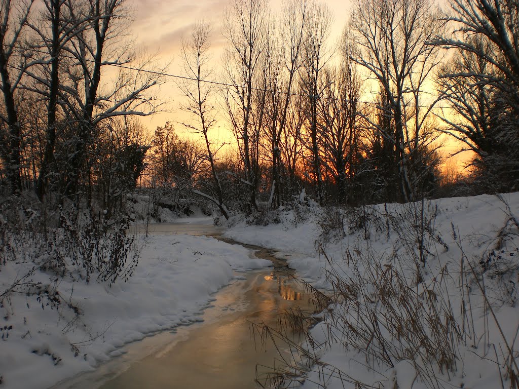 Parco del Crostolo, torrente by Skorpione74