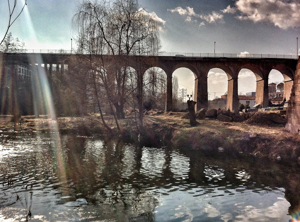 El Ter i el pont nou by Pere Esquerrà