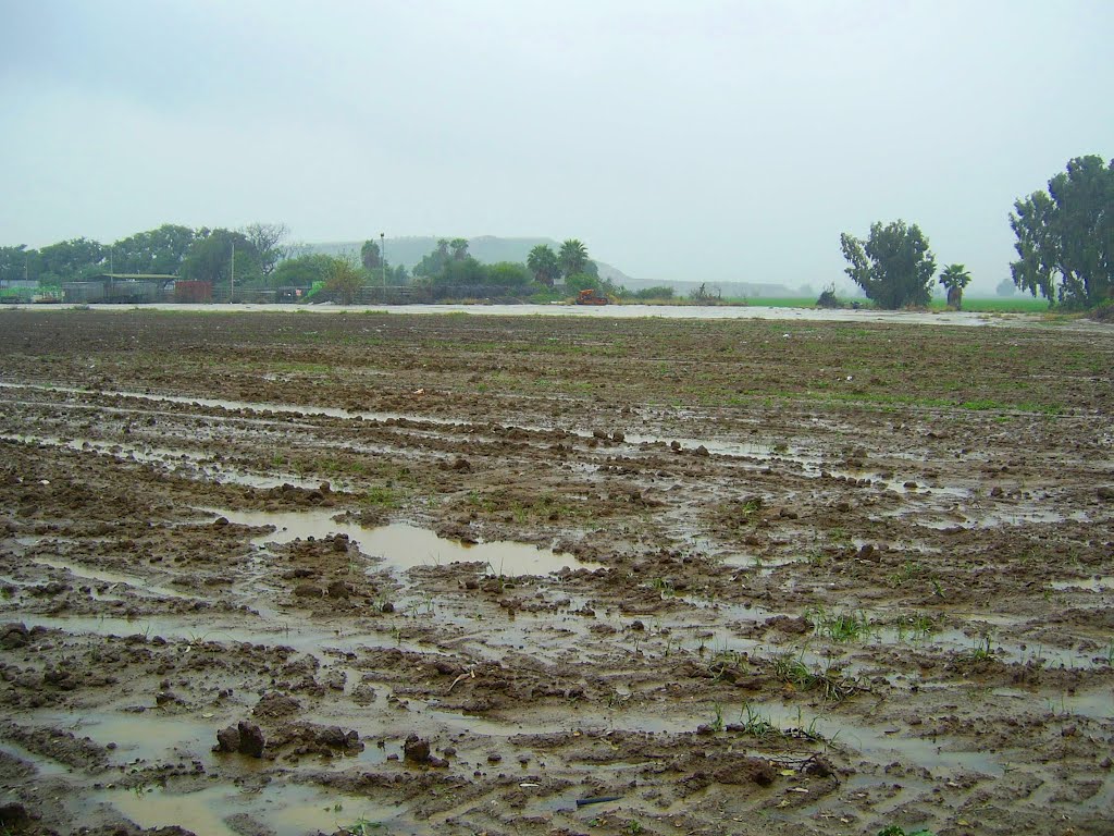 Field>rain>mud by DiAr