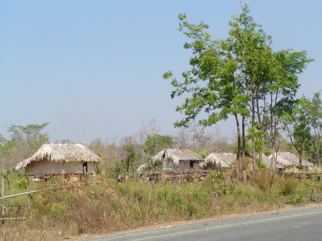 Local Style Houses by ysakuda