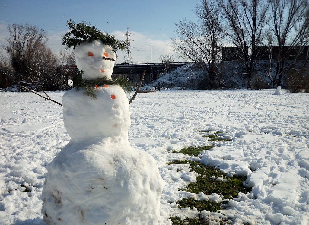 Il pupazzo di neve fa la linguaccia by Ksenesk