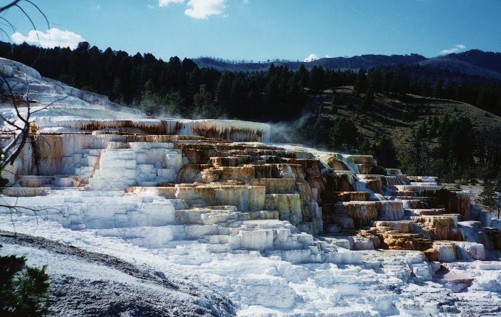 Lower Terraces area Mammoth Hot Springs near Yellowstone by dawnzandstra