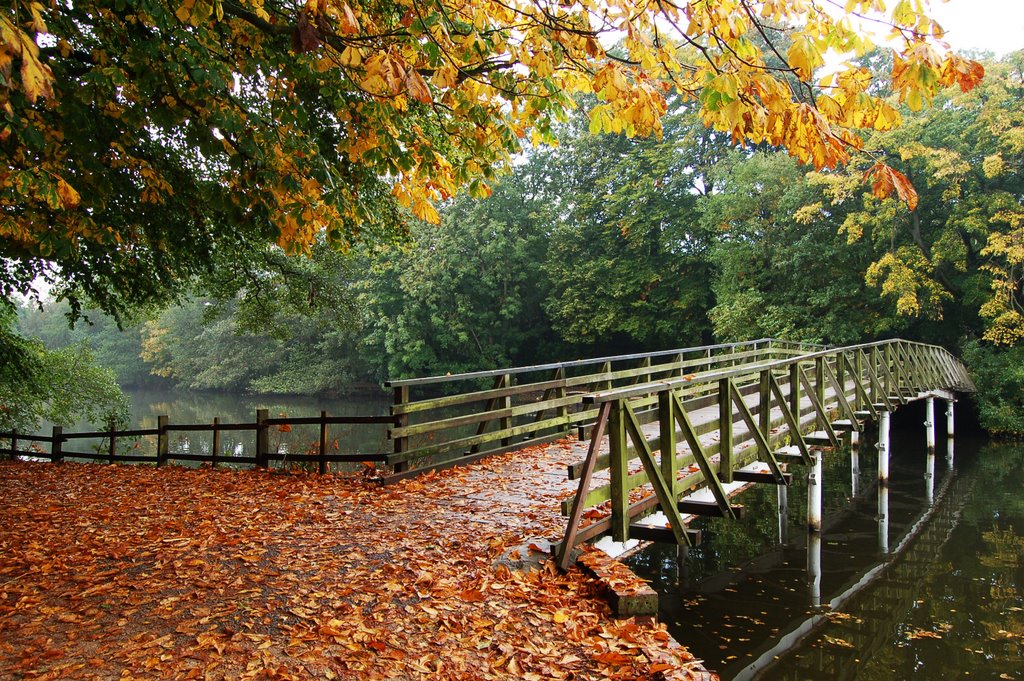 White Bridge, Hartsholme Park, Lincoln by johnloguk