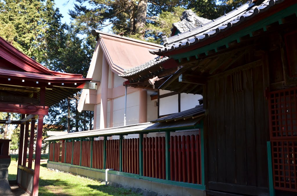 Momosono-Jinja 桃園神社 (2011.12.30) by k.takita