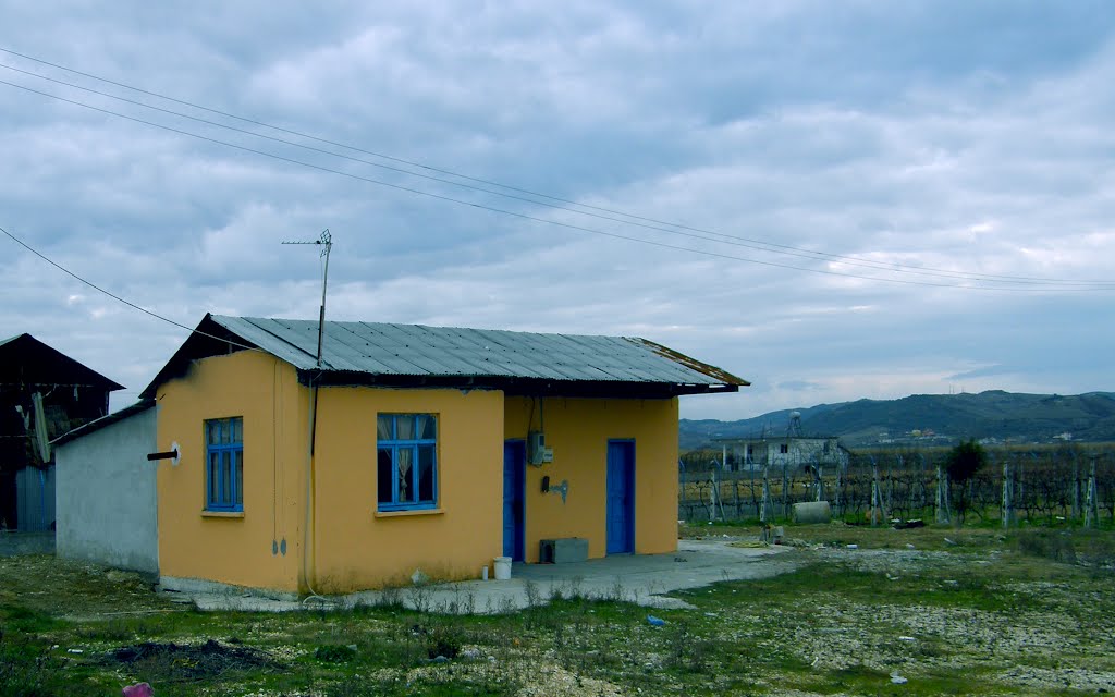 Albania - Fier: Ferm e Climrim... by Giorgos Rodinos