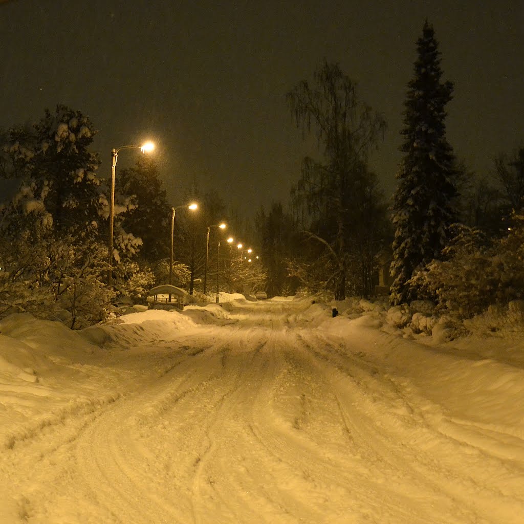 Snowy Runonlaulajantie (Helsinki, 20120203) by RainoL