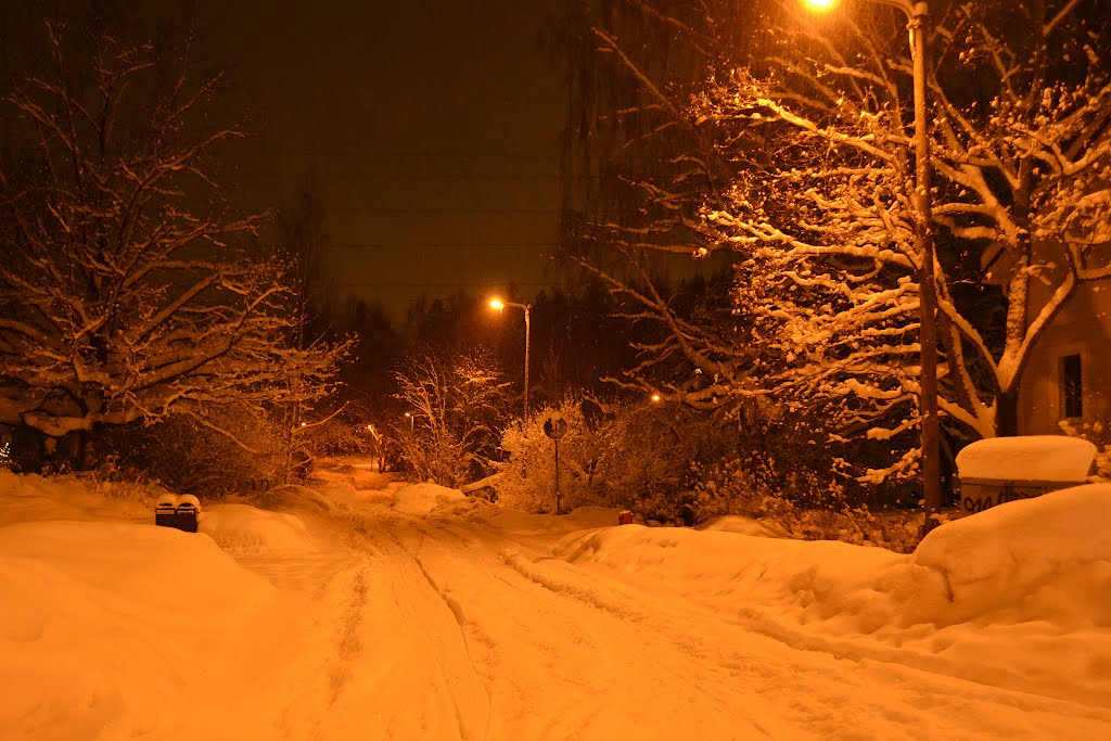 Snowy road in the evening (Helsinki, 20120203) by RainoL