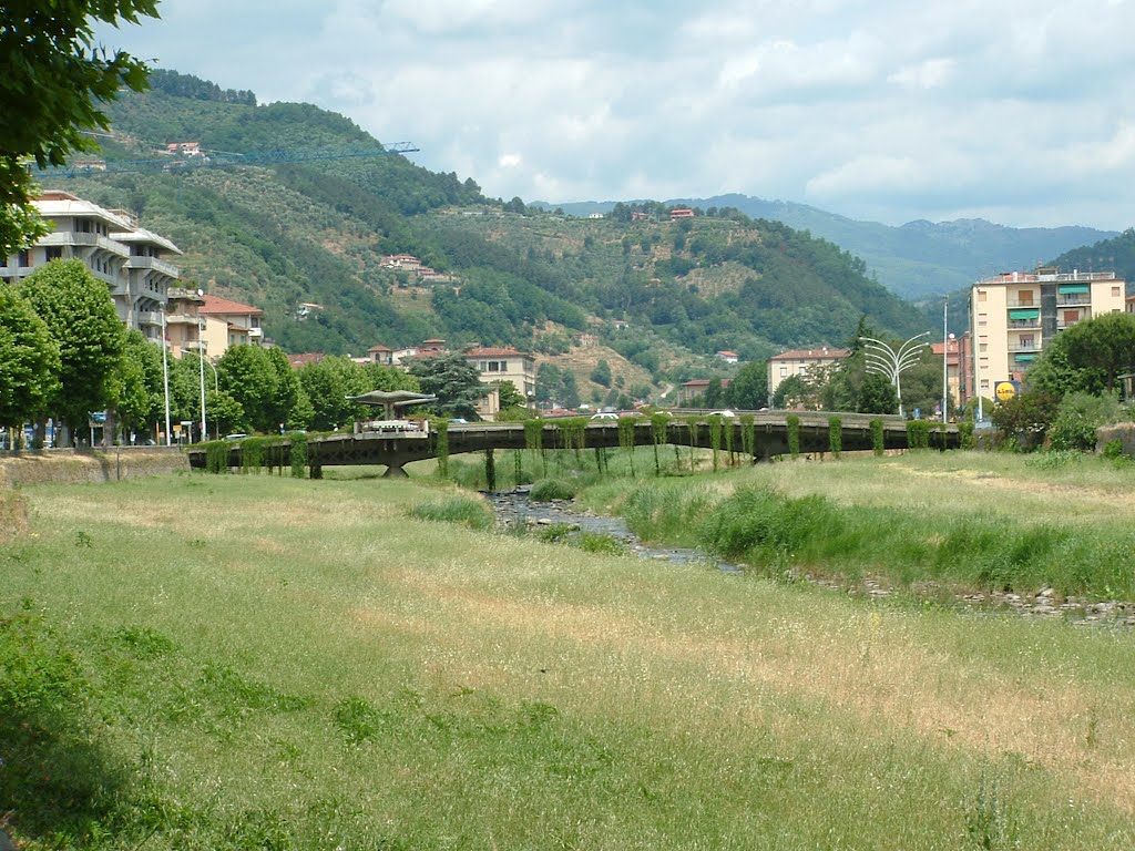 Pescia - Ponte sul Viale Europa by gibellina47