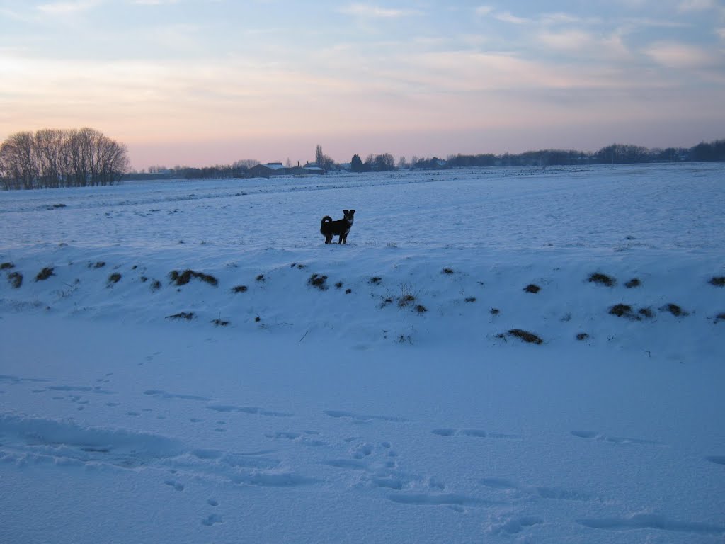 Saartje in de sneeuw by arielisse