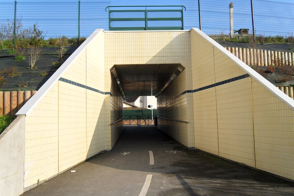 Tunnel piétons et cyclistes by jos91