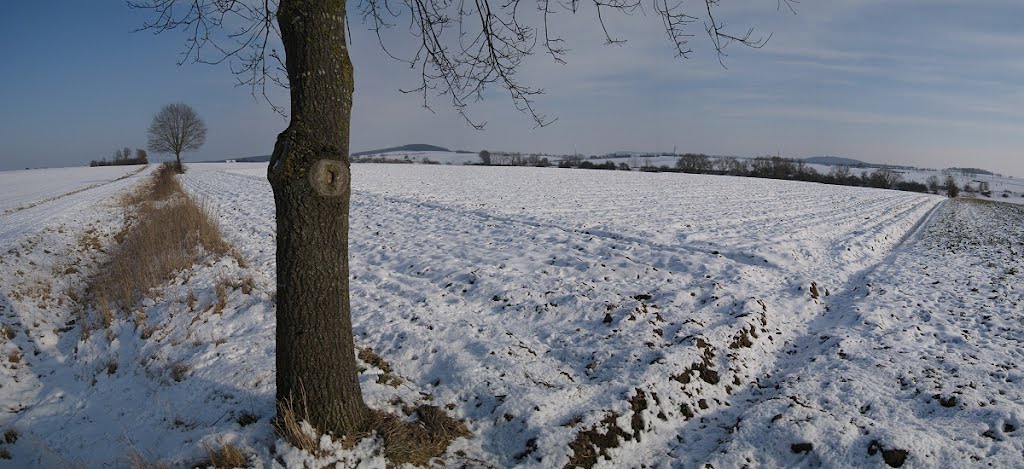 Römisches Kastell Unterschwaningen (02/2012) by Astrodoc