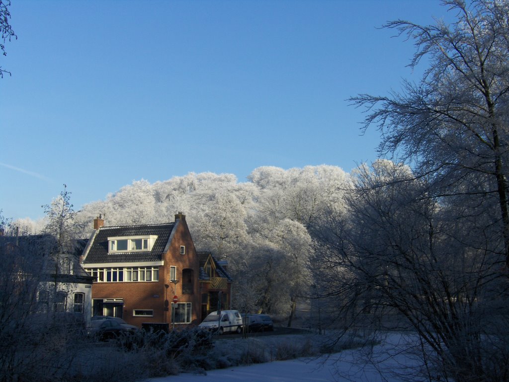 Het lijkt wel een berg by Guido Musch