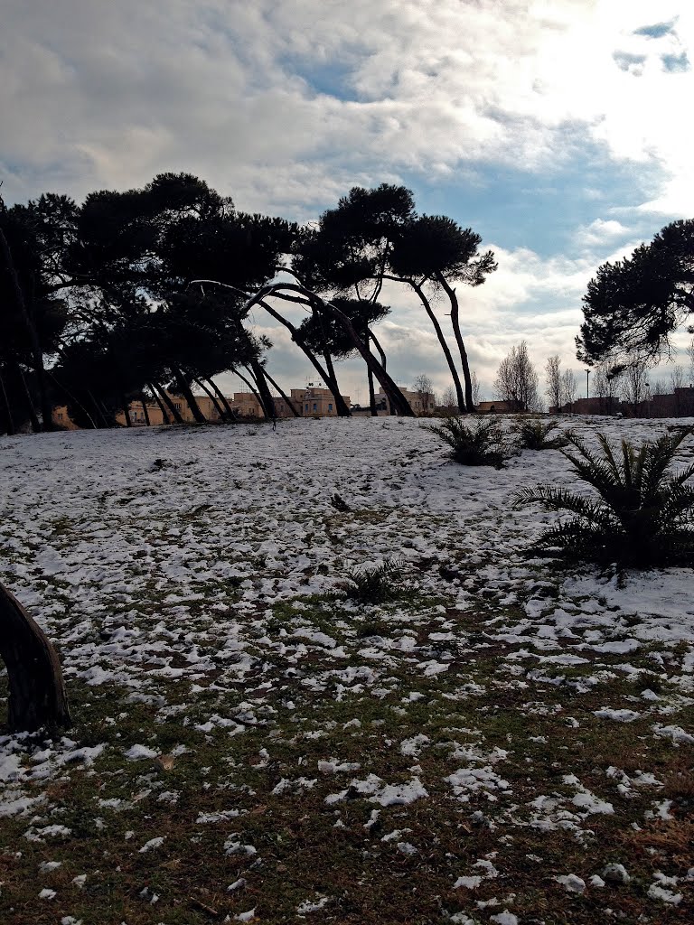 Nevicata a Roma ( il sole scioglie la neve - Pinetina di Ostia) by Bepix (Giuseppe de Giacometti)