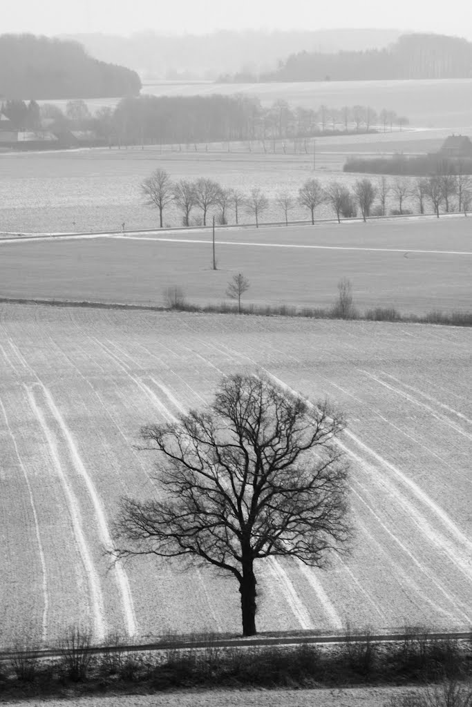 Blick in die Winterlandschaft by coolbush