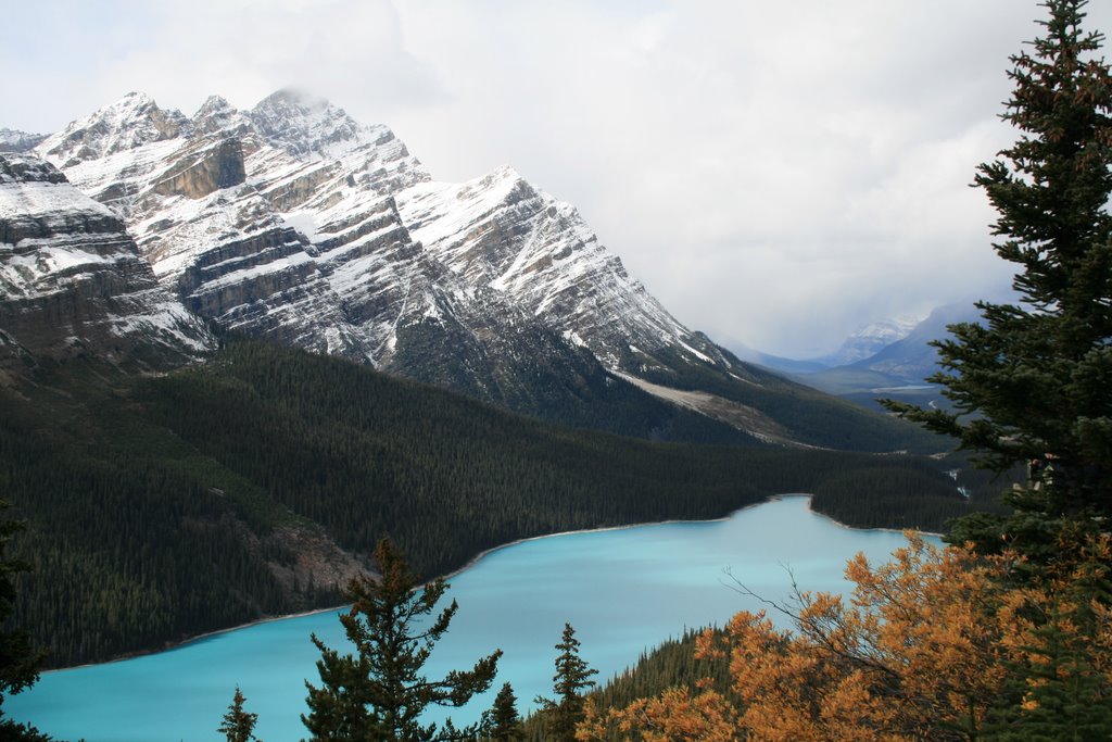 Peyto lake 1 by Daniel Graf