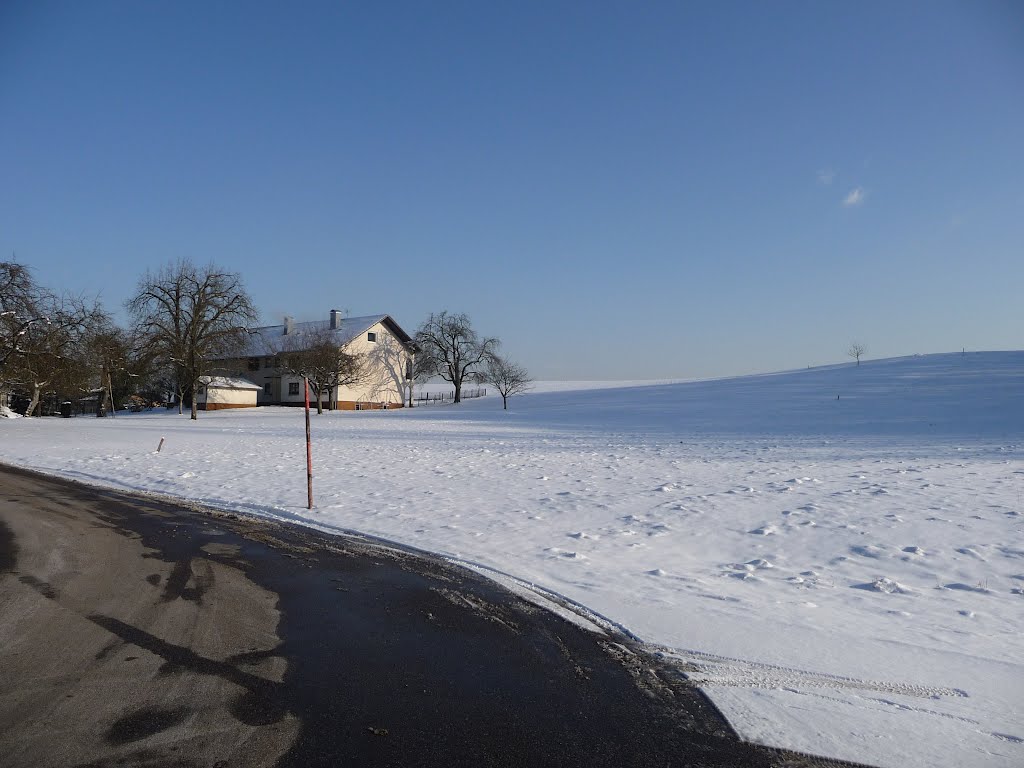 Schneelandschaft bei Rippolingen 3 by bienenritter