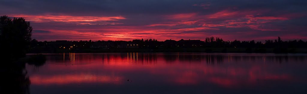 Furzeton Lake, Milton Keynes by Dick Bradshaw