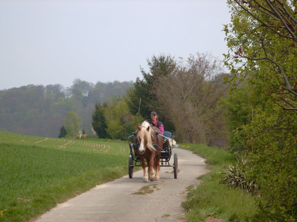 Ausfahrt auf dem Sonnenberg by A.Ernst