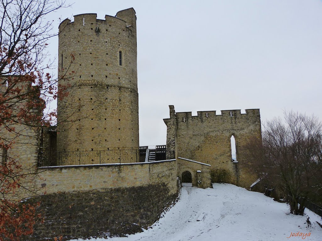 Saint Quentin Fallavier. Château de Fallavier.* by Jodaya