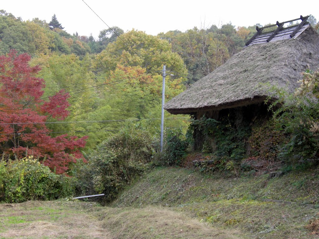 茅葺きの建物　（神戸市北区大沢町神付）　A Thatched-roof House in Kanzuke, Ozo-cho, Kobe by Daichi Kohmoto ☆河本大地