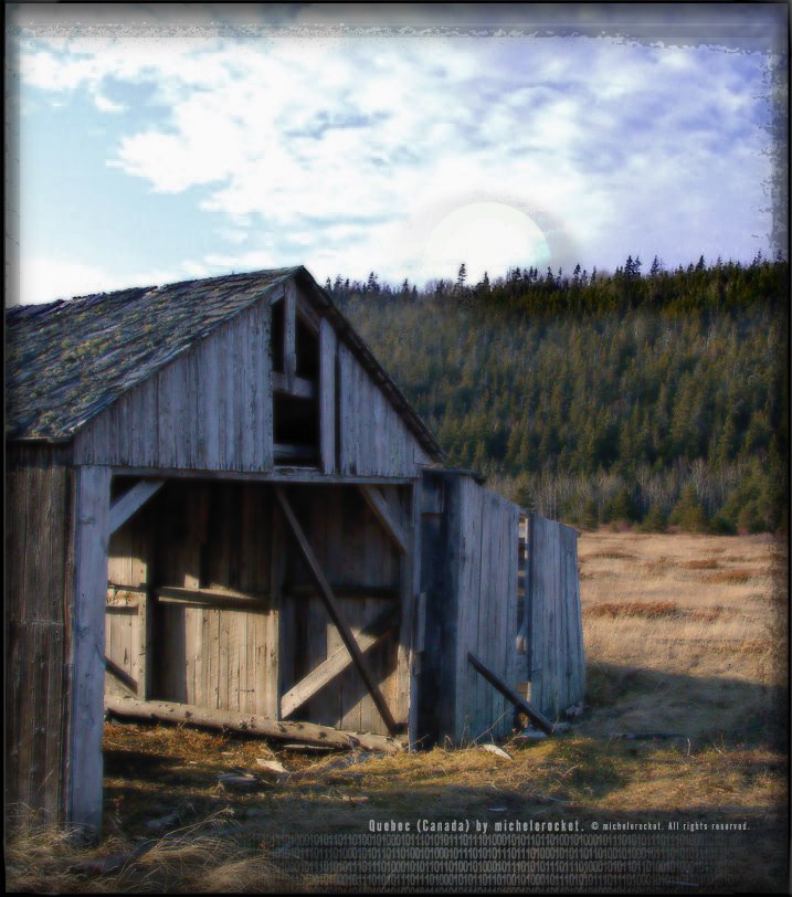 Old Barn :::: #2001(11)-2001-193 by michelerocket