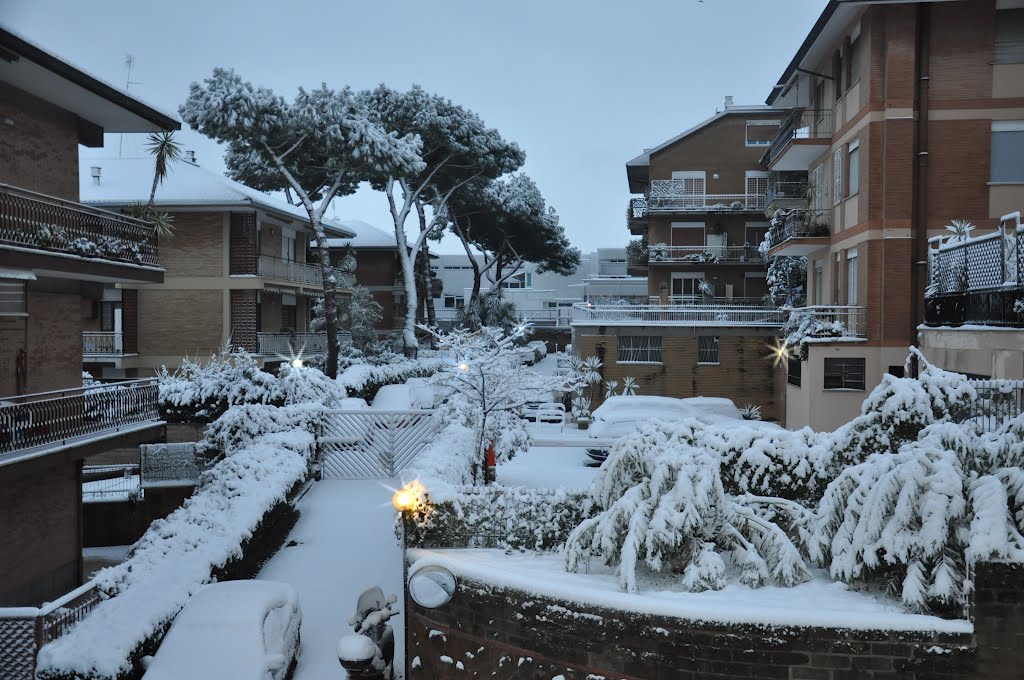 Roma sotto la Neve 04-02-2012 by lorenzo Duccillo