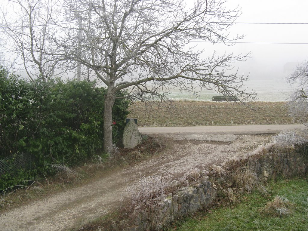 Givre à la Montagnère (Noël 2007) by Paul Myers