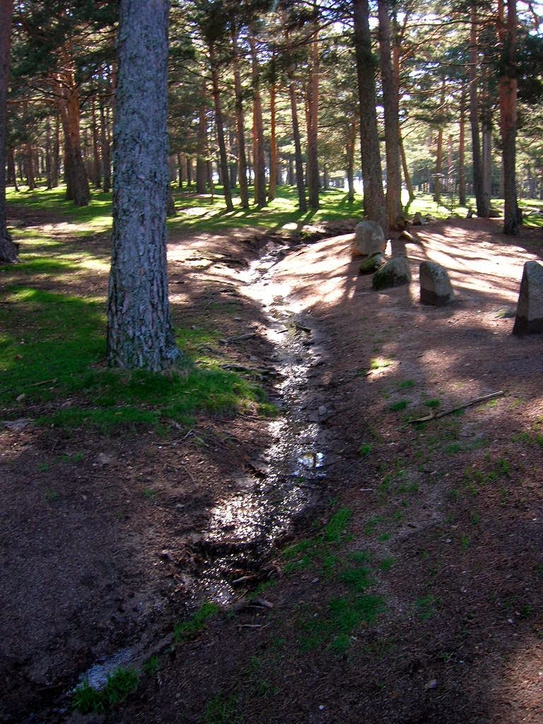 Arroyo de montaña by viajeroinquieto