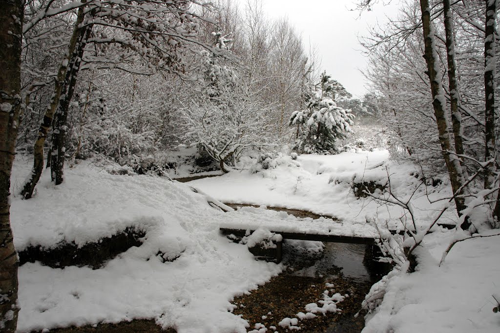 A snowy scene by John  Stillman