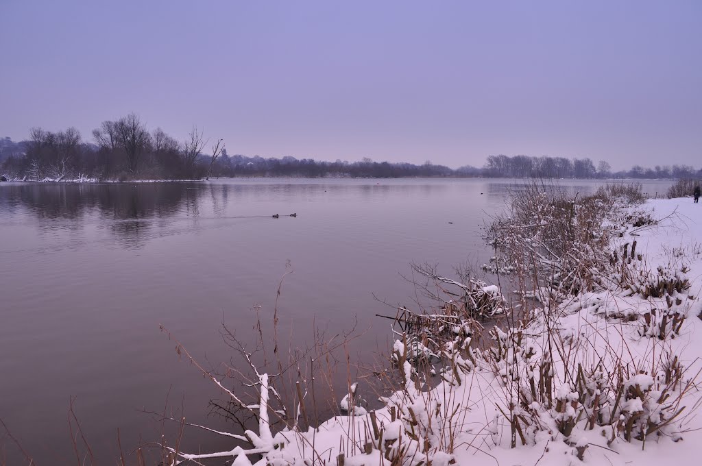 Snowfall Envelopes Whitlingham Broad by throzen