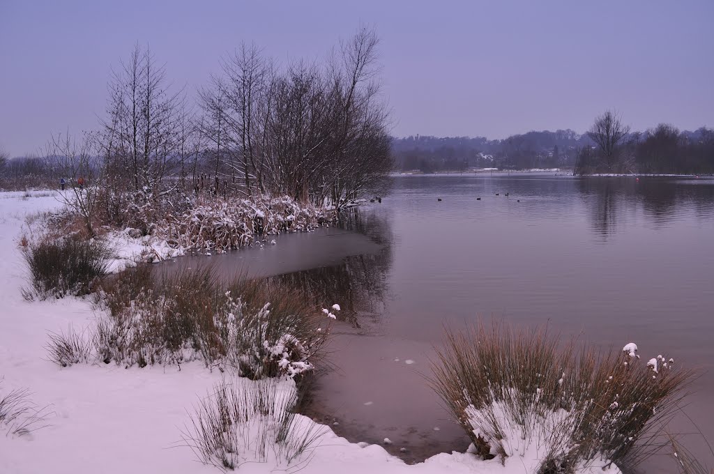 Snowfall Envelopes Whitlingham Broad by throzen