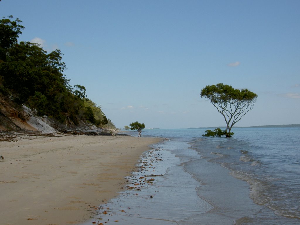 Freiser island-1 by Pere-peret