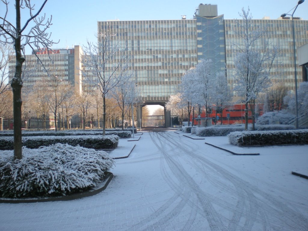 TU-terrein, Eindhoven, Netherlands by meilander