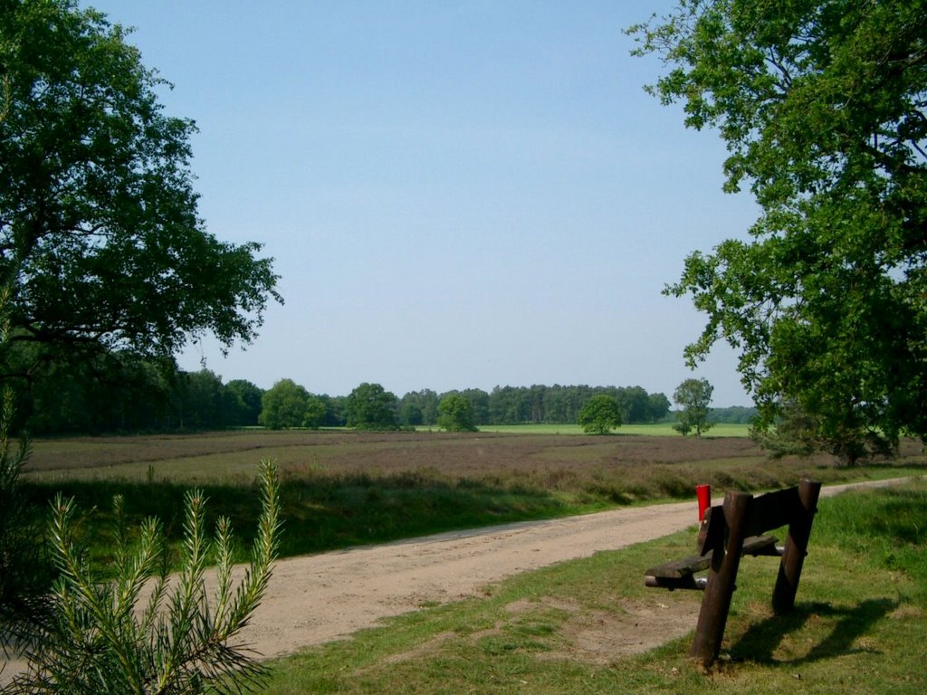 Heath field at the Wekeromse Zand by Marten Idema