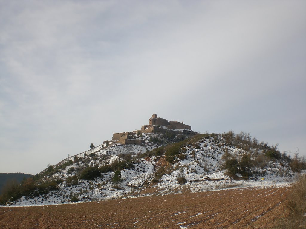 Castell de Cardona (febrer 2012) by EliziR