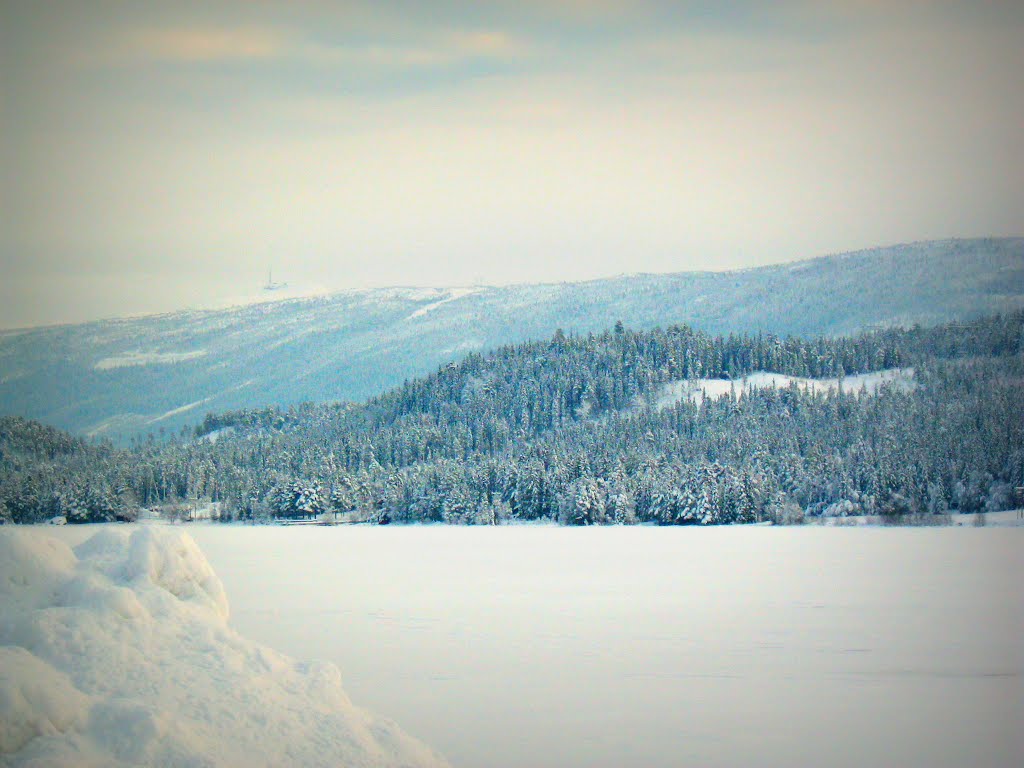 Holsfjorden in winter by Antoinette Janssen