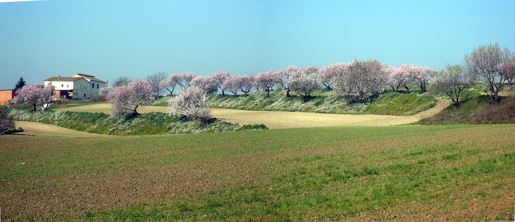 Lliçà d'Amunt. Can Riereta i els Ametllers florits by Eulalia Garreta