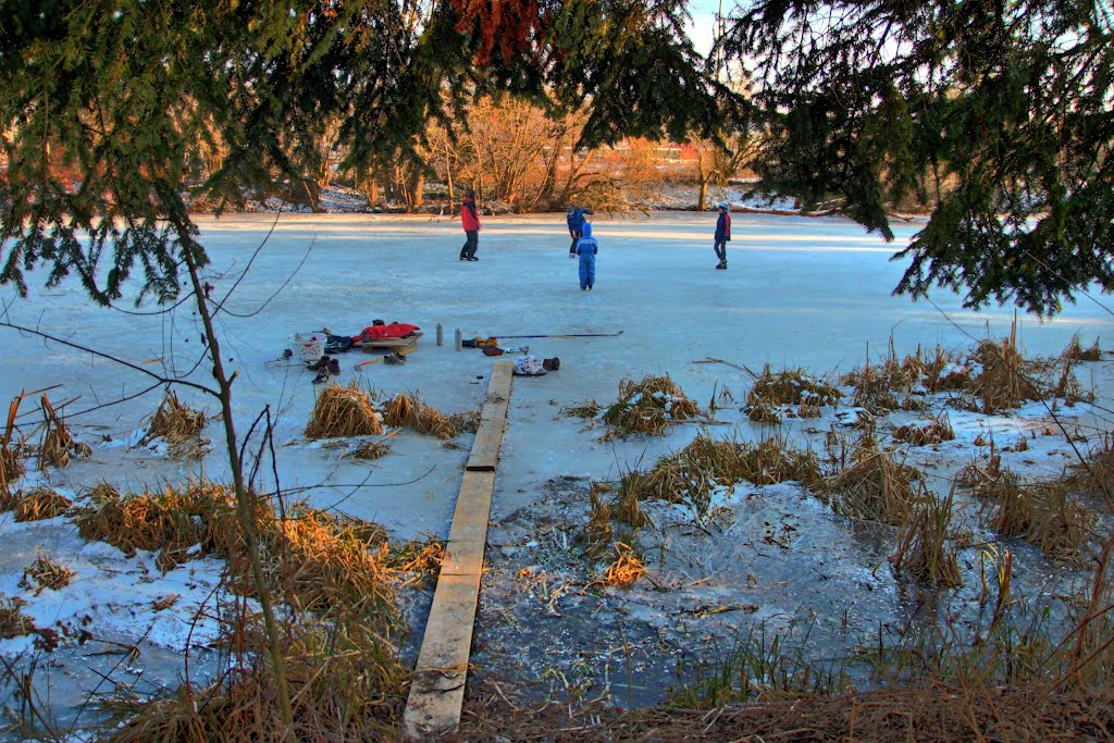 Am Weiher in 88447 Warthausen by fotokostik