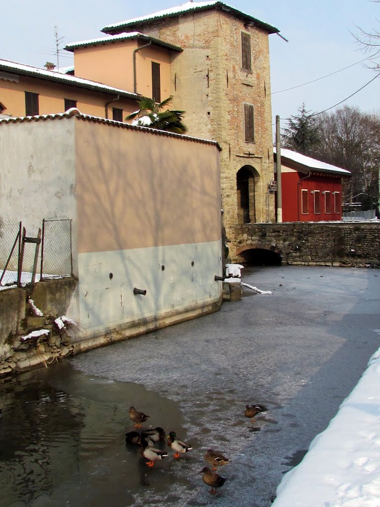 Neve e ghiaccio nel fossato by MARIA HOR