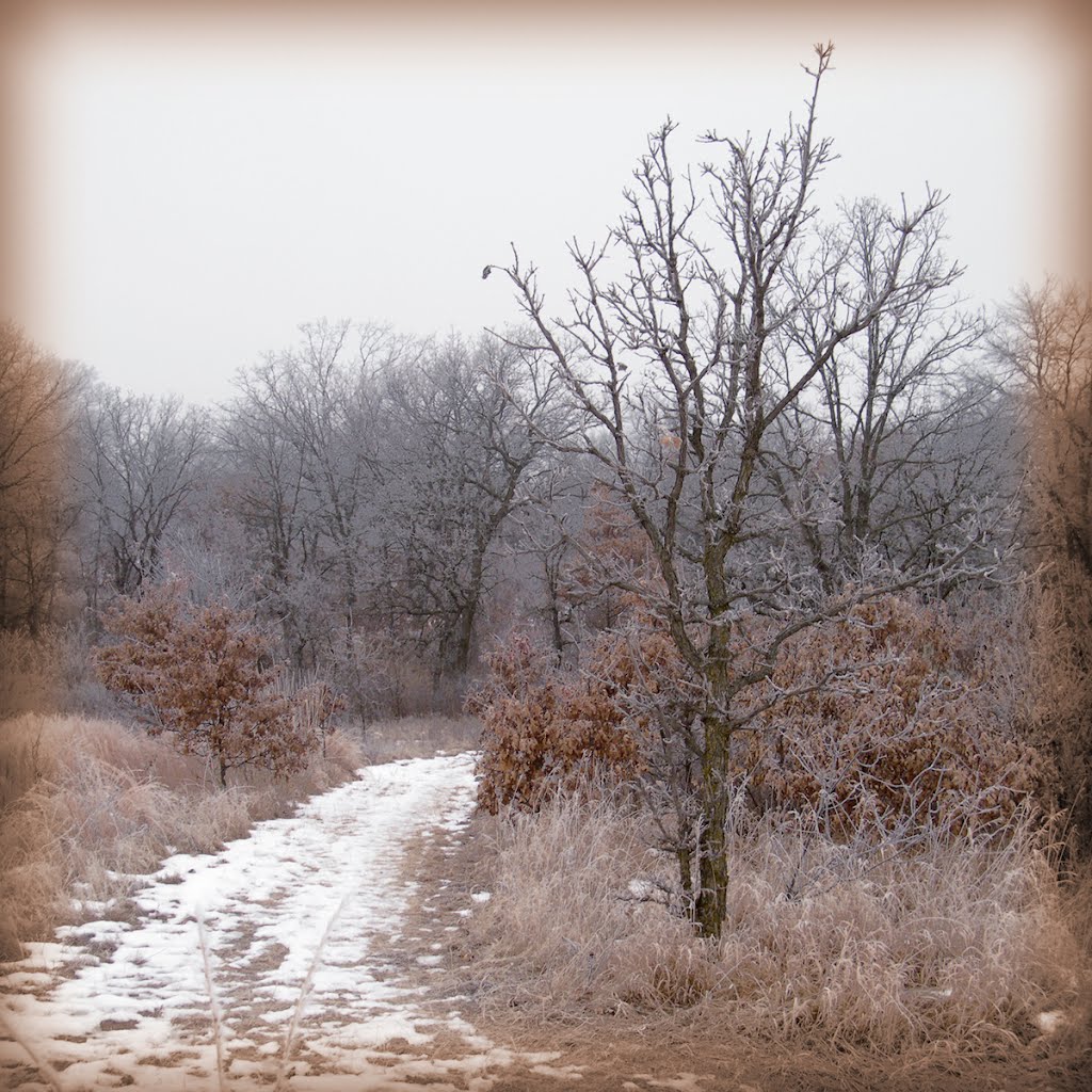 Trail Sentry, Robert and Marilyn Burman Wildlife Management Area, Oak Grove, Minnesota by © Tom Cooper